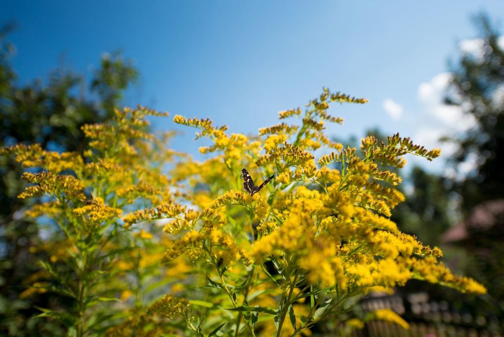 Ferienhaus Schmiedehof Hitzing エクステリア 写真